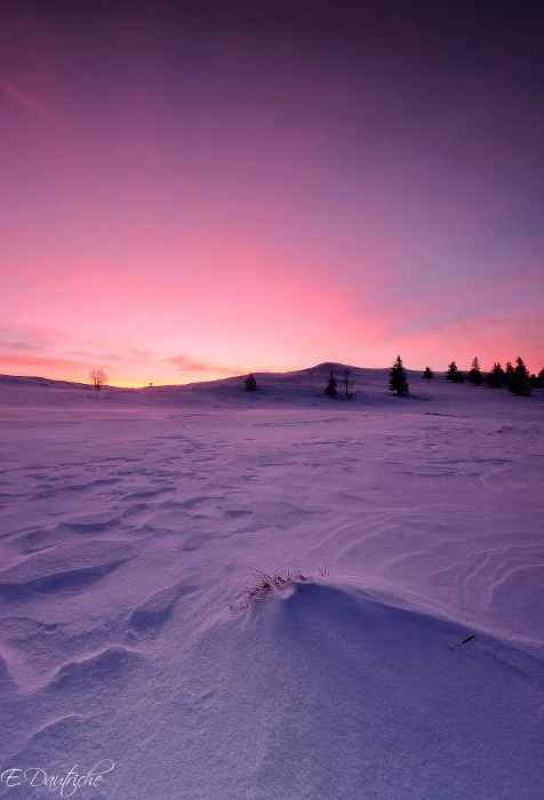 pink light.jpg